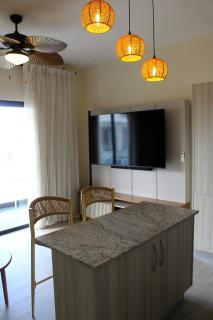Luxury Pool Side Condo - Vista Cana - 9