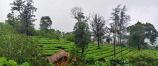 Vagamon cupules stay - 7
