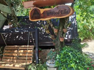 Winwood Ella - 6