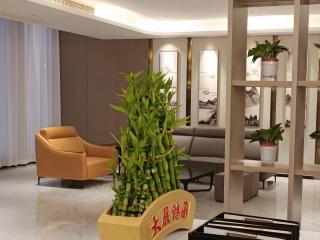 VX Hotel Wuhan Optics Valley Yangjia Bay Metro Station - 2