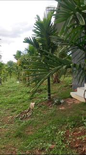Natures Nest - 6