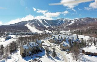 MightyMoose- Pool, Hot tub, Sauna, Gym, Near Resort - 6