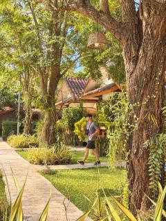 The Nest House - 5