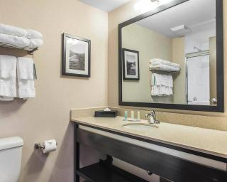 Quality Inn & Suites Kingston - 7