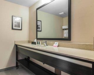 Quality Inn & Suites Kingston - 6