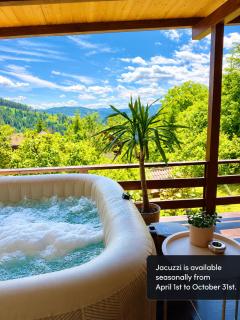 Casa Rogin Chalet - 6