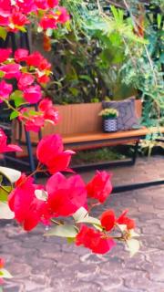 The bharani villa homestay - 2