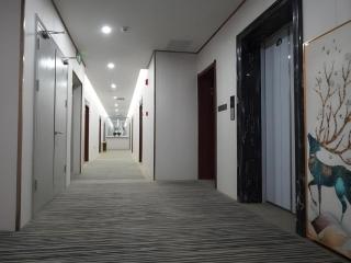 GreenTree Inn Express Hebei Shijiazhuang Zhengding County Changshan Dong Road - 9