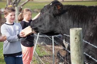 Melbourne Farm Stay - 1