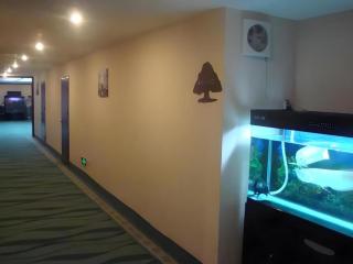 GreenTree Inn Beijing Dongcheng District Wangfujin South Luogu Lane Houhai Express Hotel - 7