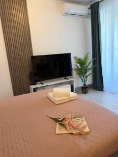 Sofia Residence-Otopeni Airport & Therme- Libertatii Gardens-Self Check-in - 1