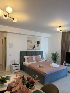 Sofia Residence-Otopeni Airport & Therme- Libertatii Gardens-Self Check-in - 3