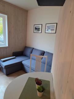 Ny fin liten leilighet i Fagernes sentrum - 5