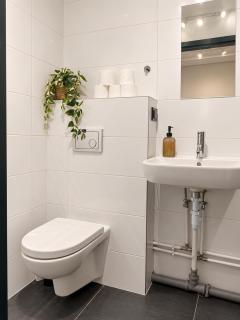 Dana-One Bedroom Apartment in Central Tallinn-1 - 5