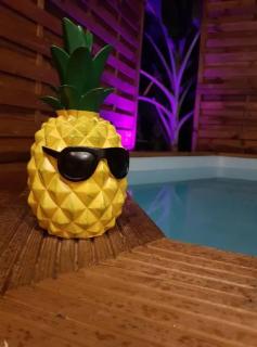 Bungalow cosy au Diamant avec piscine - 2
