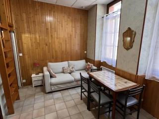 Studio mezzanine cosy pour 4 pers avec casier à skis, proche centre-ville - FR-1-234-342 - 0