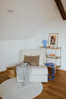 Gallery apartment v podhůří Krušných hor - 3