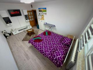 Apartament Central 2 dormitoare parcare Privata Residence 2 Bedrooms central - 0