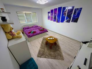 Apartament Central 2 dormitoare parcare Privata Residence 2 Bedrooms central - 8