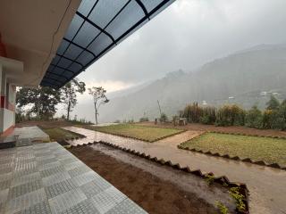MPK's Nest - 2