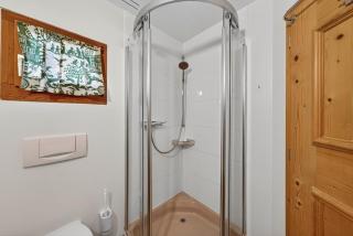Alpine Studio Flat near Sankt Moritz - 5