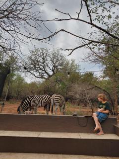 Explorer House-Family Bush Retreat & Safaris - Marloth Park - 5