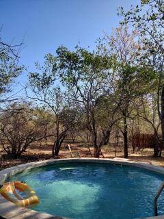 Explorer House-Family Bush Retreat & Safaris - Marloth Park - 2