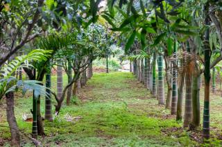 SaffronStays Aashray - 9