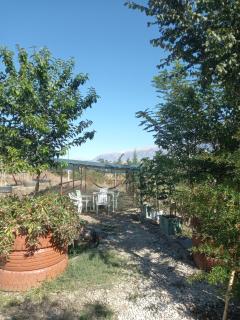 Tents Gjirokastra Camping - 7