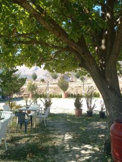 Tents Gjirokastra Camping - 5