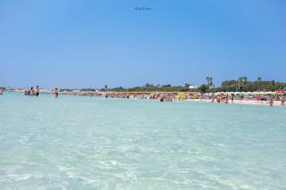 Cala Dor Garden Stay vicino al Mare di Punta Prosciutto - 8