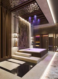 Luxurious Accessible Apartment with Private Spa in Widen - 0