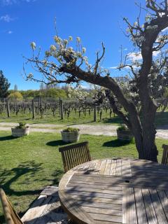 'The Crib' on Legacy Vineyard - Alexandra - 2