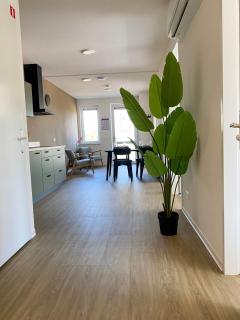 Cherryhouse - 9