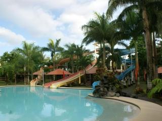 Pineapple Island Resort - 8