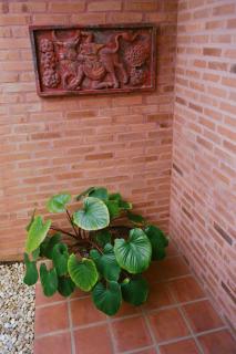 Villa Du Lac Homestay - 6