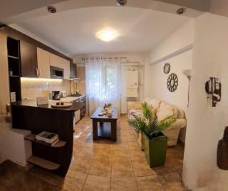 Apartament Florina - 9