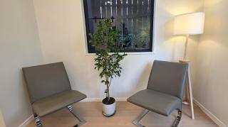 Modern 4BDR Coastal Luxury in Orakei - 1