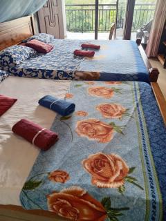 Dreamscape home stay - 6
