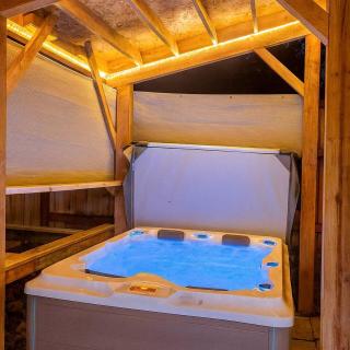 Tiny Cabin with Private Hot Tub & Fireplace in Ashford, Washington - 6
