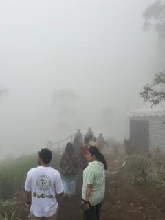 Western Ghats, Tent Stay, Munnar, Gap Road - 2