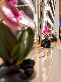 Premium Stay & Fly Warsaw Modlin Airport - 4