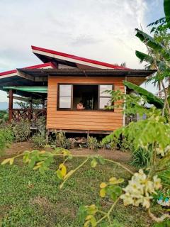 Trevor's Place Rizal Palawan - 8