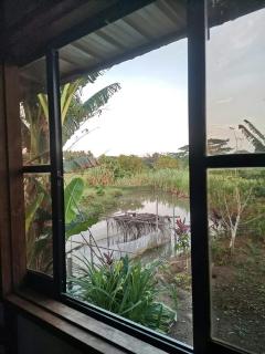 Trevor's Place Rizal Palawan - 5