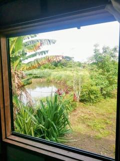 Trevor's Place Rizal Palawan - 4
