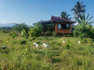 Trevor's Place Rizal Palawan - 3