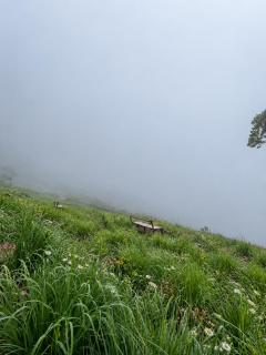 Western Ghats, Tent Stay, Munnar, Gap Road - 3
