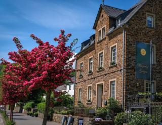 Winzerhof Gietzen - 0