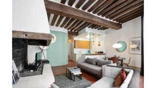 Parisian Apartment With Terrace in Saint Michel-Notre Dame - 1