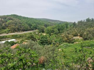 Belle maison à Yakouren Au cœur de la nature - Azazga - 2